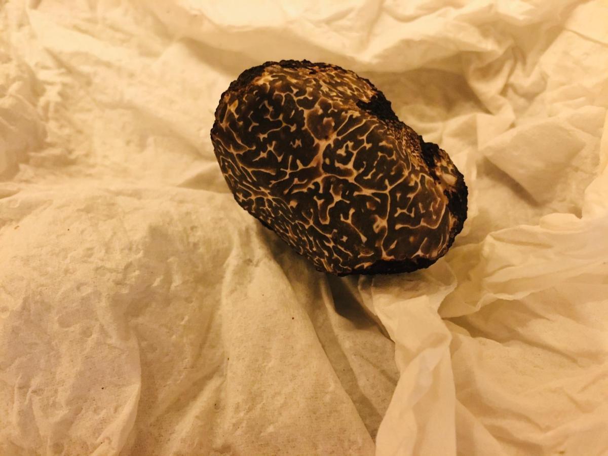 La Ferme Buissonniere Panzió Bardou Kültér fotó