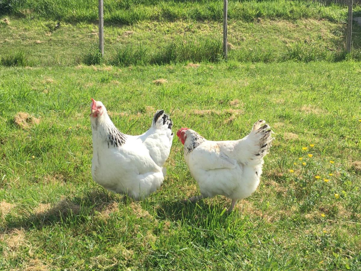 La Ferme Buissonniere Panzió Bardou Kültér fotó